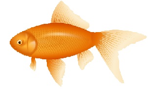 Free Goldfish Clipart
