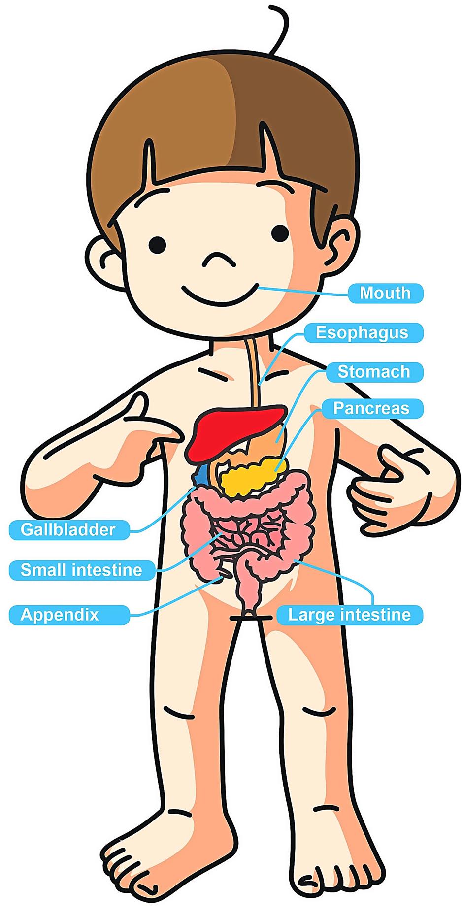 Take care of your child's digestive system, here's how - Star2.com