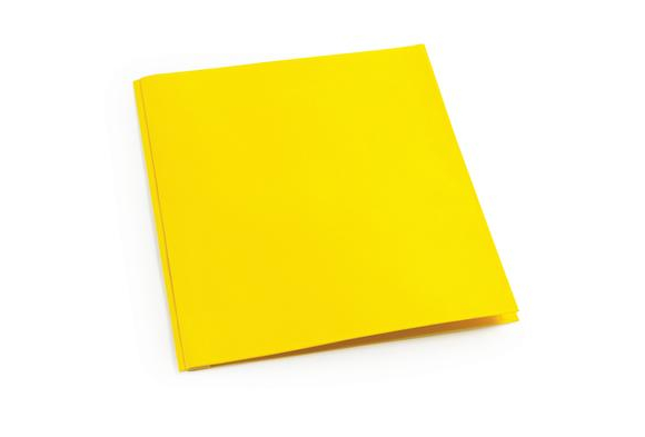 Yellow Pocket & Brad Folder