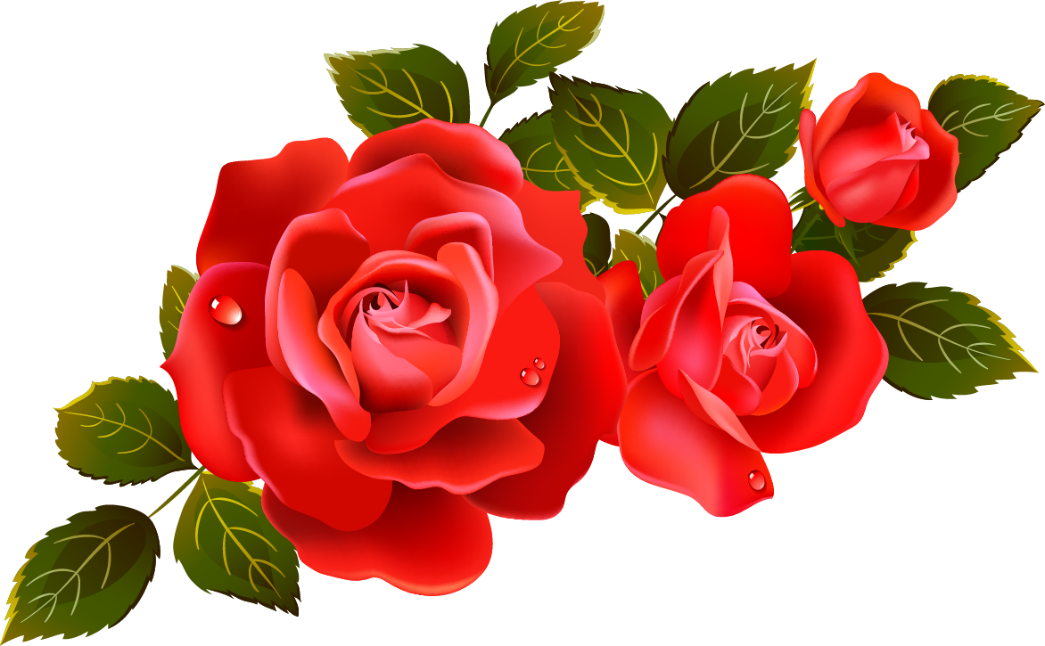 red roses clipart - photo #15