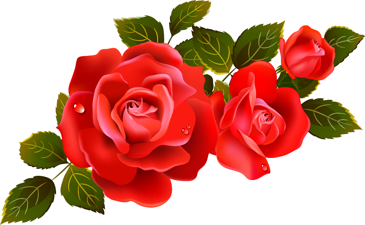 Valentine Rose [All transparent ones/