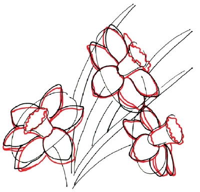 TLC "How to Draw a Daffodil"