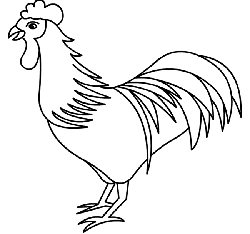 How to Draw Chickens : Drawing Tutorials & Drawing & How to Draw ...