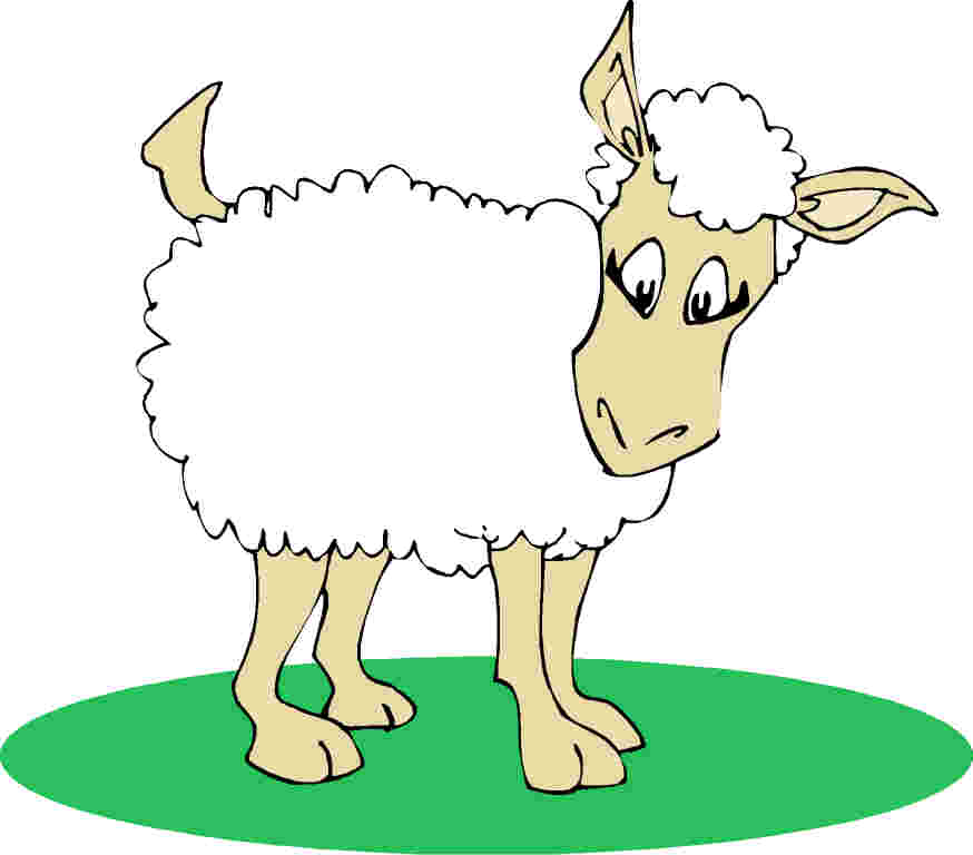 Sheep Clipart