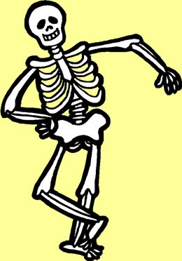 Skeletal System | Publish with Glogster!