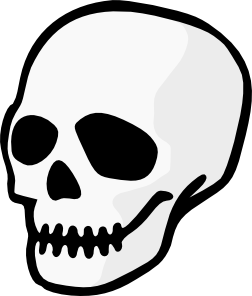 Skull drawing clipart