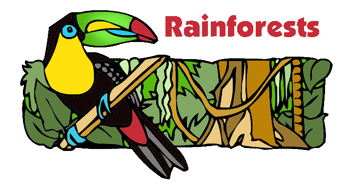 Image result for Rainforest clipart