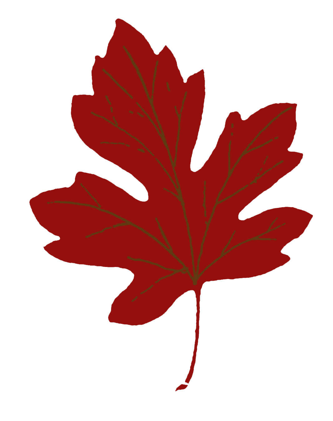 Vintage Fall Clip Art – Maple Leaves