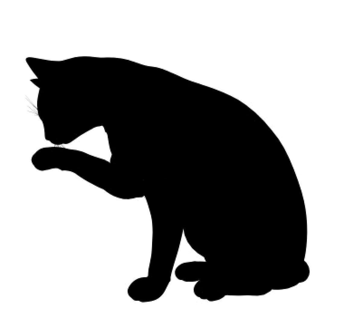 free clipart cat outline - photo #37