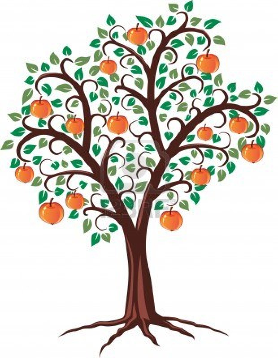 Pix For > Fruit Tree With Roots Clipart