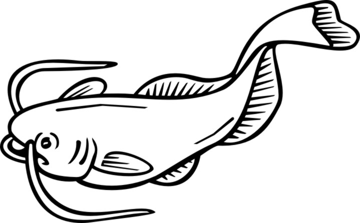 Catfish [M312406] - $4.00 : Custom Vinyl Stickers Decals, for Cars