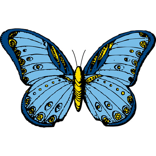 Butterfly Art - ClipArt Best