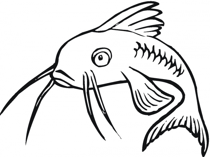 Image of Catfish Clipart #6005, Cartoon Catfish - Clipartoons
