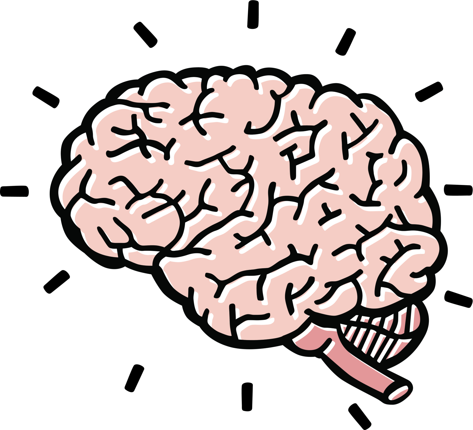 Human brain clipart for kids