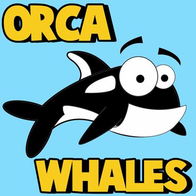 How to Draw Cartoon Orca Whales with Easy Step by Step Drawing ...