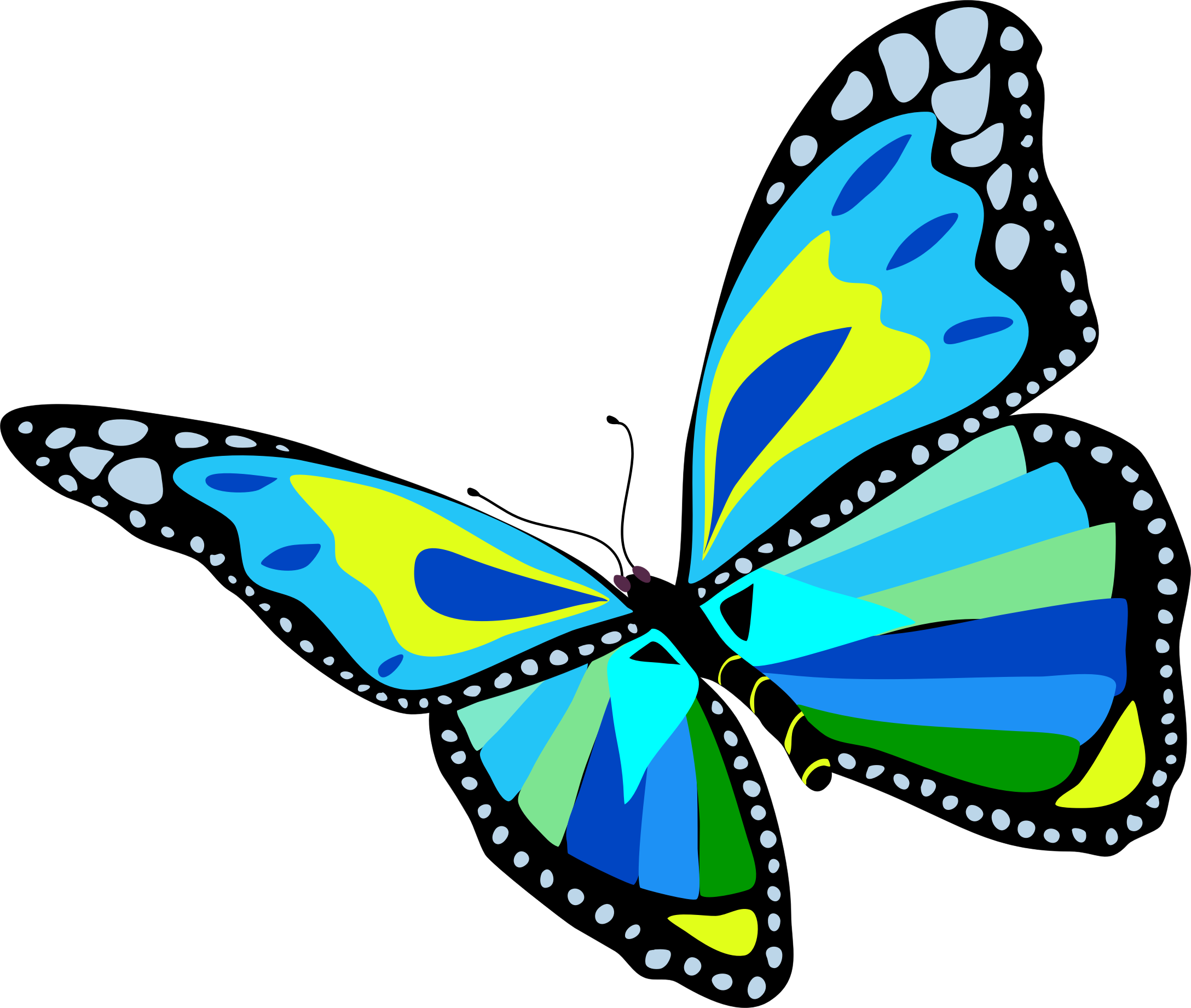 423 views Flying butterfly clipart