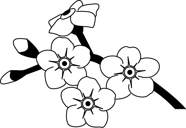spring flower-Material of flower-illpop com(
