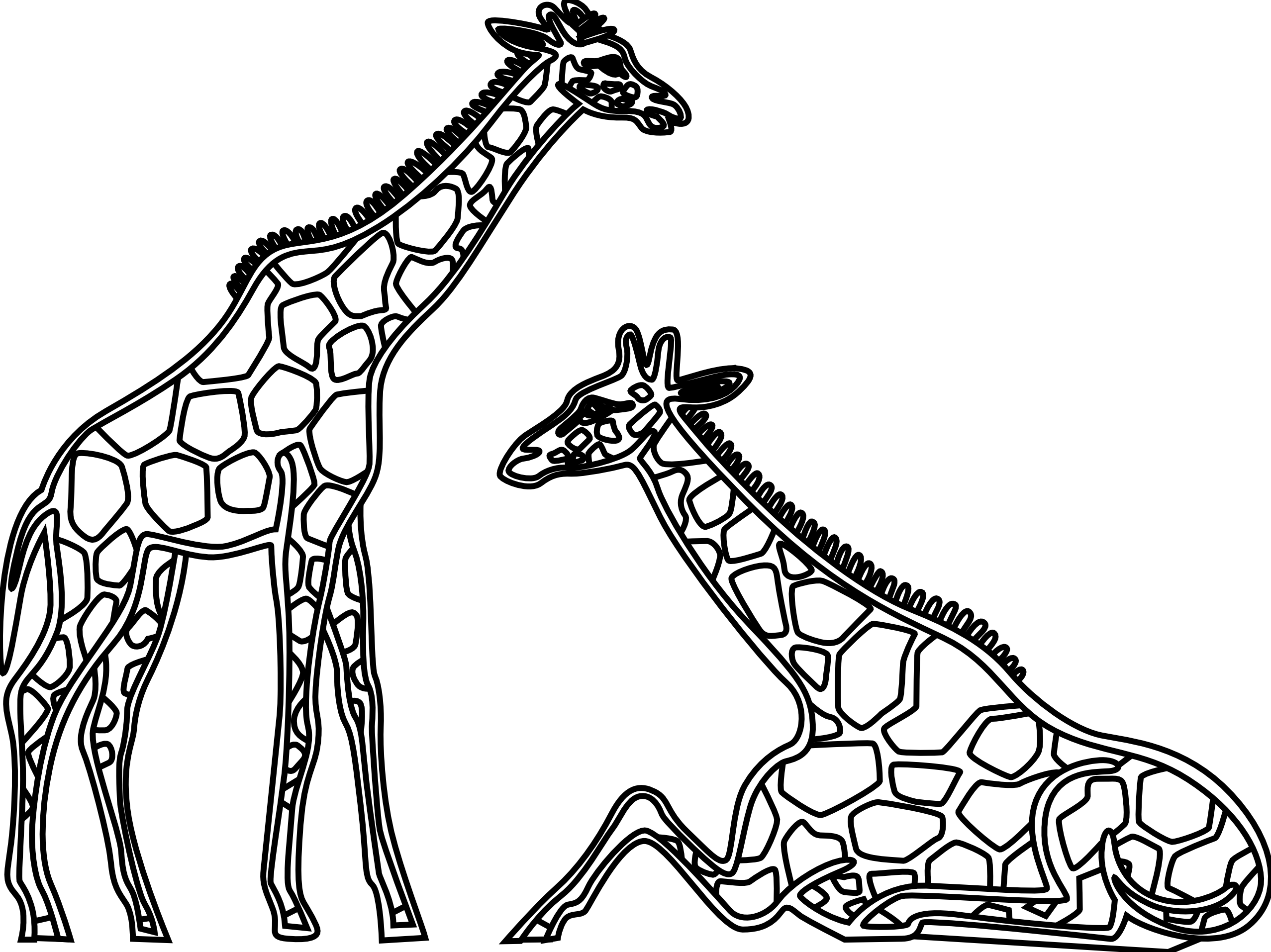 Clip Art: Giraffes 2981 Black White Line Art ...