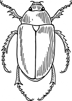 Download Beetle clip art Vector Free