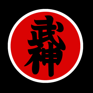 Ninjutsu Martial Arts, The Bujinkan | Way Of Ninja