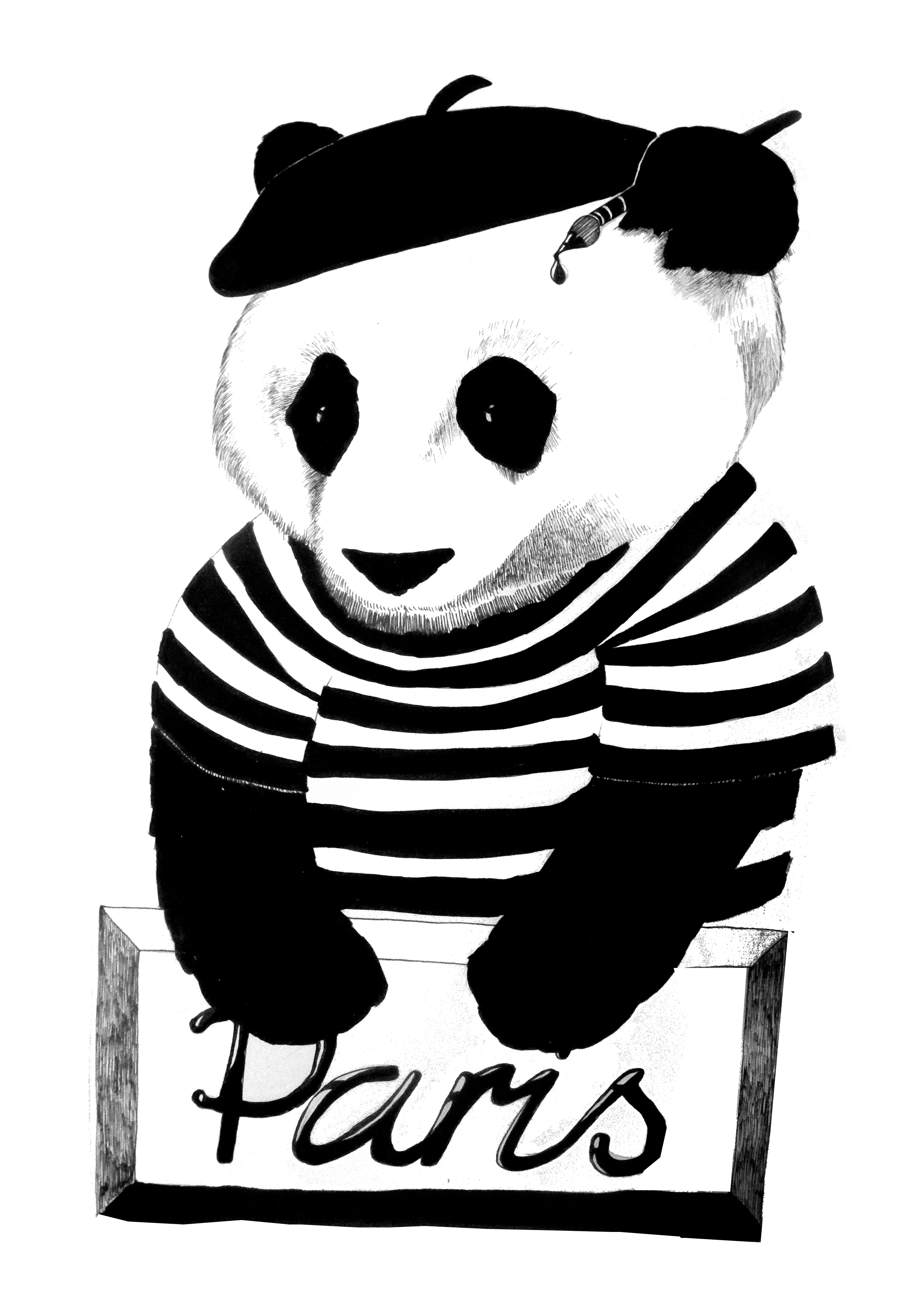 Behind the scenes with European Panda (+ call for entries ...