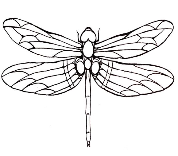 Dragonfly Drawing | Geometric ...