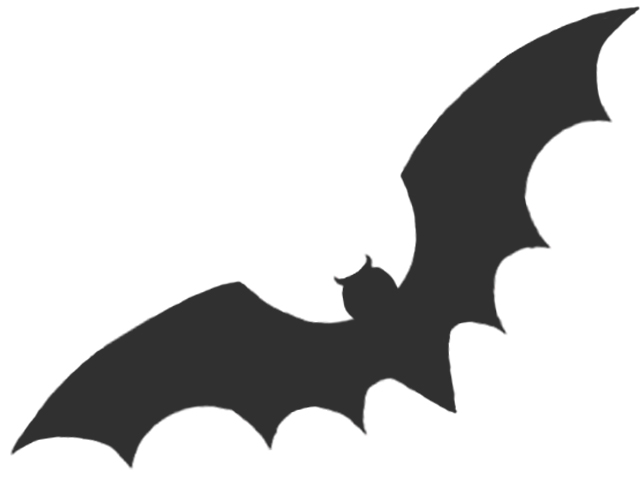 Drawing Bats For Halloween – Festival Collections