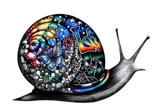 Design color, Shells and Snail art