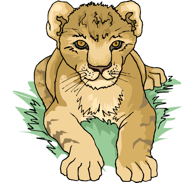 Free lion cub clipart