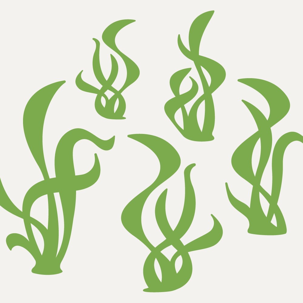 Seaweed Clipart | Free Download Clip Art | Free Clip Art | on ...