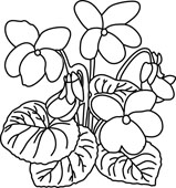 Violet clipart black and white
