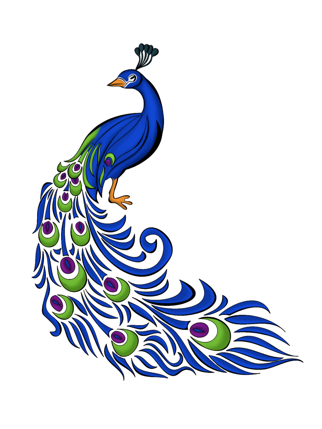 Peacock clipart vector