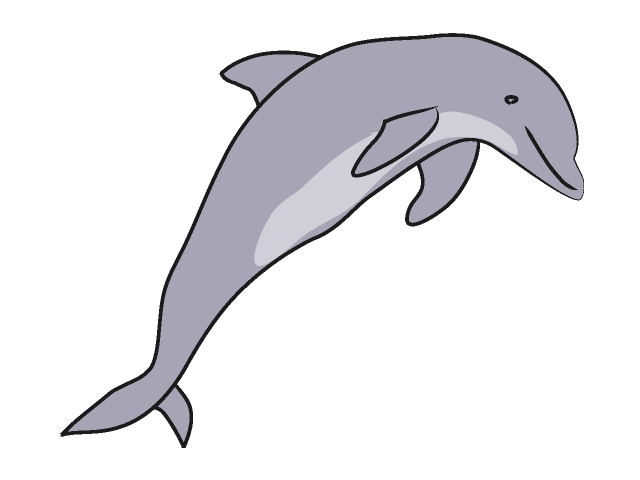 367 views Clipart dolphins jumping