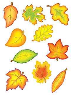 Amazon.com : Eureka Photo Image Of A Fall Leaf, 5" Paper Cut-Outs ...