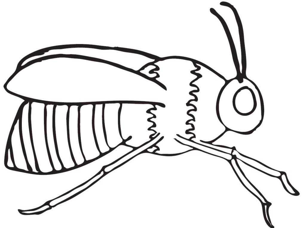Bumble Bee Outline - AZ Coloring Pages