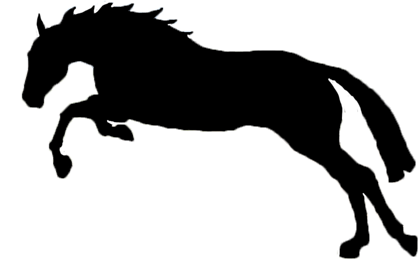 horse jumping clipart - photo #8