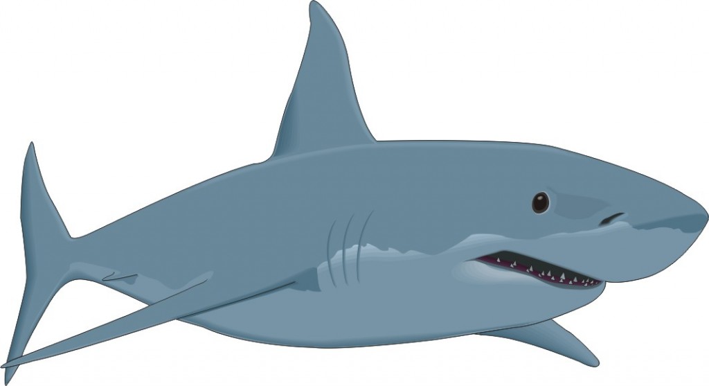 free clip art cartoon sharks - photo #15