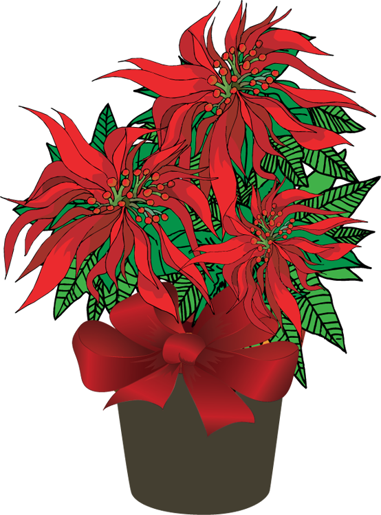 clipart christmas poinsettia - photo #34