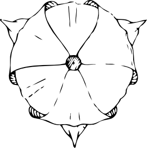 668 views Tulip Top View clip art - vector clip art online, royalty free ...