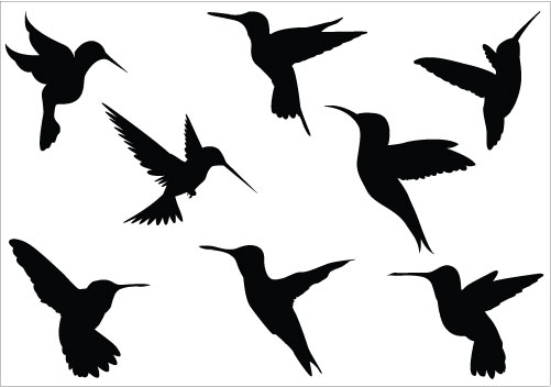 free hummingbird clipart black and white - photo #22