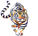 graphics-white-tiger-643351.gif