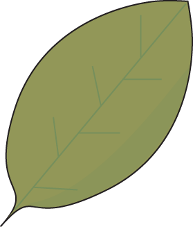 Green Autumn Leaf Clip Art - Green Autumn Leaf Image
