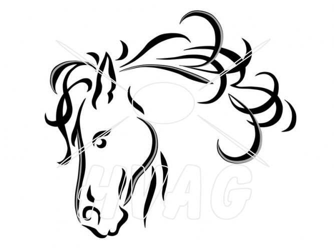 horse head clip art - photo #25