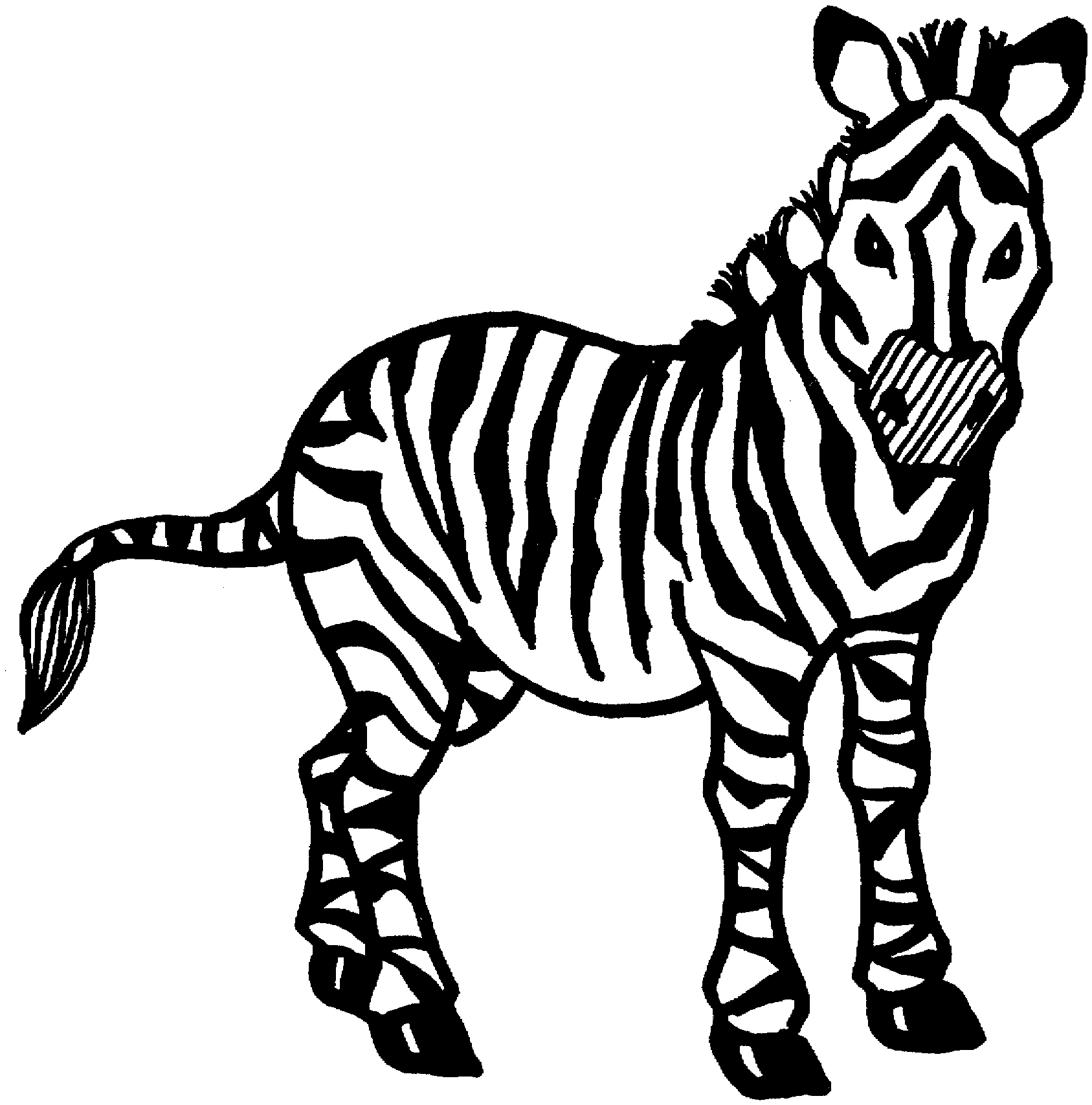 Zebra Coloring Page 2211 Free