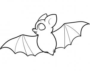 Animals - How to Draw a Bat for Kids