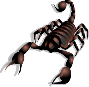 Scorpion clip art - vector clip art online, royalty free & public ...