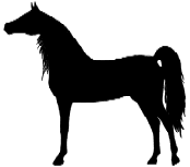 Clipart Horses Page 2