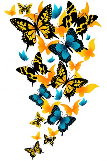 Beautiful butterfly vector material | Download free Vector