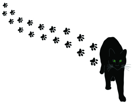 All Hallows' Eve – Be Kind to Black Cats! | The Adventures of ...