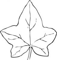 Free Leaves Clipart - Free Clipart Graphics, Images and Photos ...